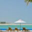 Grand Hyatt Doha beach with loungers default 1